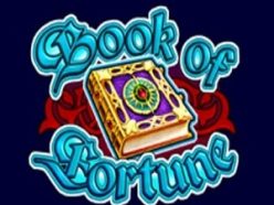 Book of Fortune Spielautomat