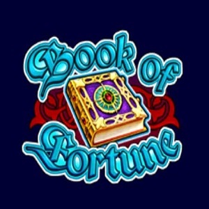 Book of Fortune Spielautomat